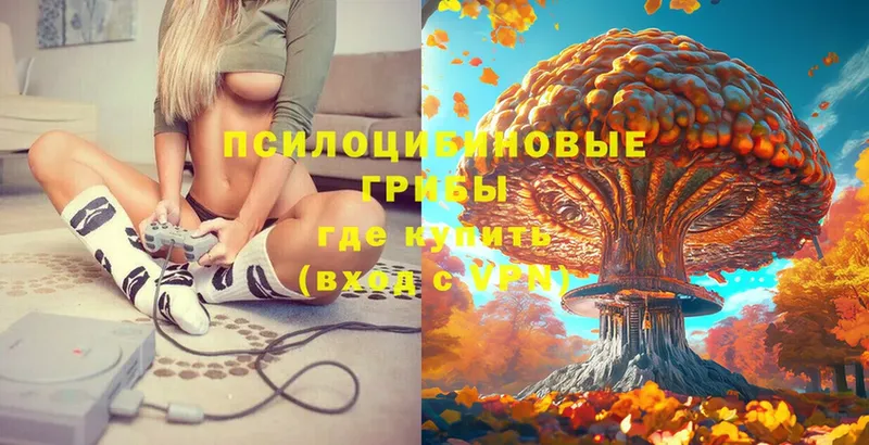 OMG зеркало  Иркутск  Псилоцибиновые грибы мухоморы  дарнет шоп 